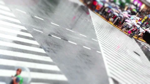 Shibuya Crossing Stock Footage 32263670