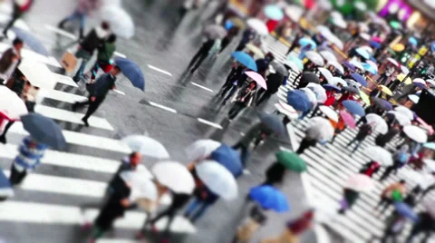 Shibuya Crossing 動画素材 32263686