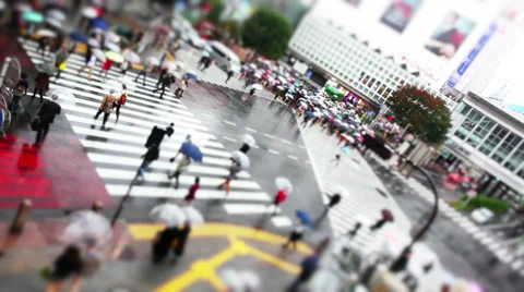 Shibuya Crossing Stock Footage 32263789