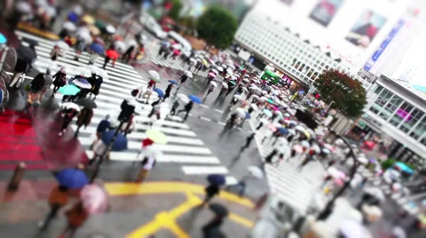 Shibuya Crossing Stock-Footage 32263809