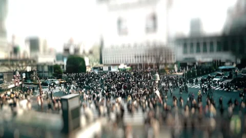 Shibuya crossing Stock Footage 99683337