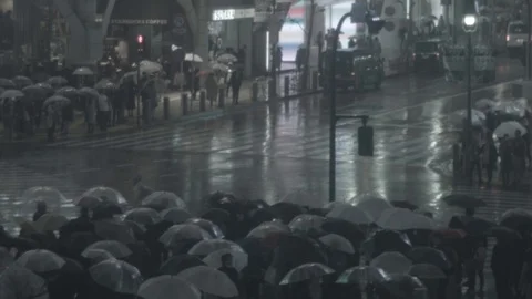 Shibuya crossing from high (log) Stock Footage 126597348