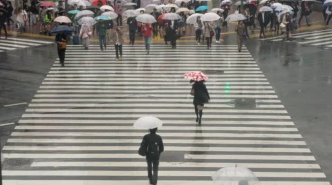 Rain day shibuya Stock Photos and Images