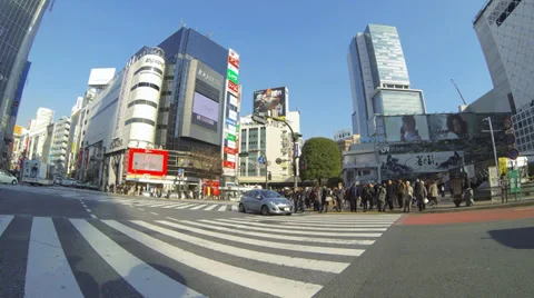 Shibuya Crossing Timelapse Video stock 34264395