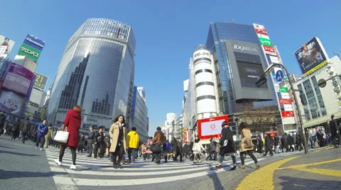 Shibuya Crossing Timelapse Stock Footage 34282842