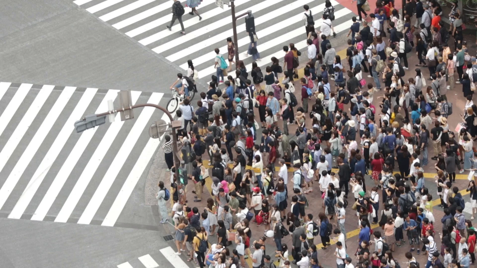 Timelapse of crowds of people crossing roads in Shibuya district