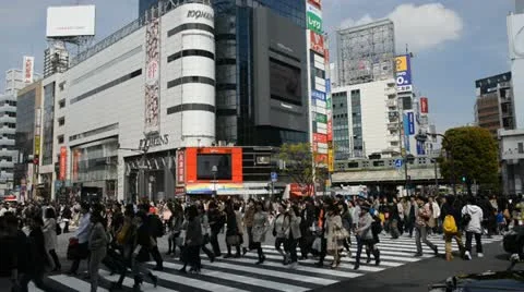 Shibuya Crossing Tokyo Busy Shopping Traffic People Pedestrian Walking Crowd Day Stock Footage