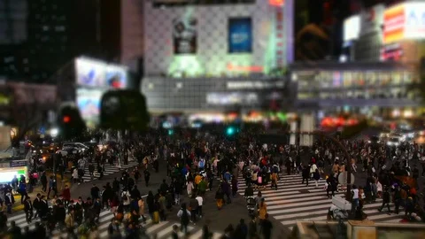 Shibuya Stock Footage 101616295