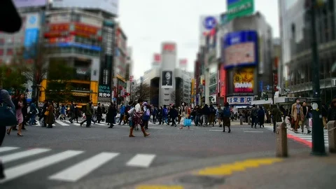Shibuya Stock Footage 101616356