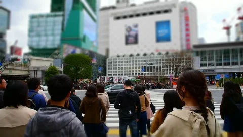 Shibuya Stock Footage 101616450