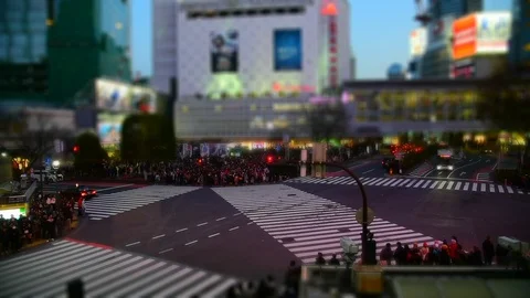 Shibuya Stock Footage 101616467
