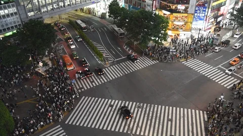 Shibuya Stock Footage 101616966