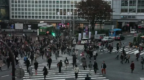 Shibuya, pedistrien Stock Footage 46129683