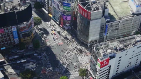 Shibuya Scramble Crossing Stock Footage 248779166