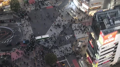 Shibuya Scramble Crossing Stock Footage 328356191