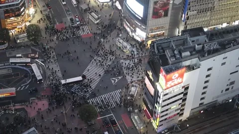 Shibuya Scramble Crossing  Stock-Footage 328613399