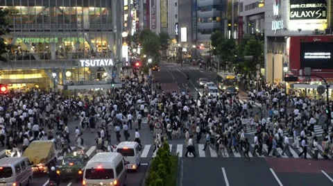 Shibuya street crossing 動画素材 7731353