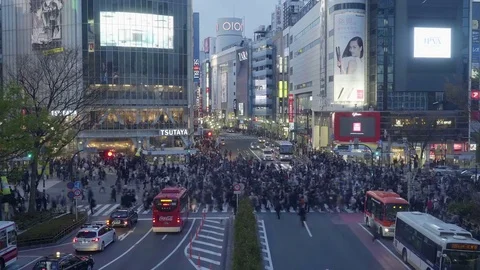 Shibuya Timelapse Video stock 76573755