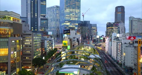 Shibuya Tokyo Stock Footage 239038598