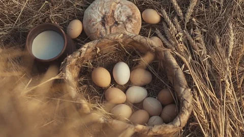 Сhicken eggs in a wicker basket in the hay Stock Footage