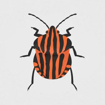 Shield bug , eps10 vector format Stock Illustration
