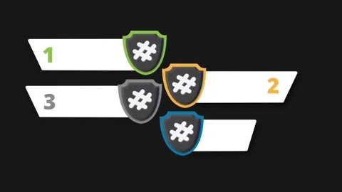 Shield Stock-Footage 325058993