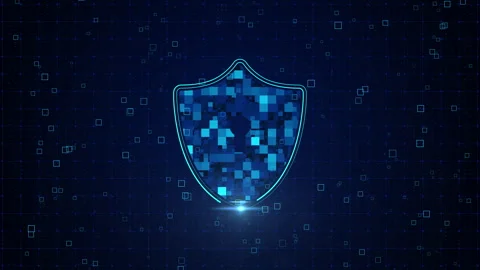 Shield Icon Of Cyber Security social network Global communication Video stock 343346191