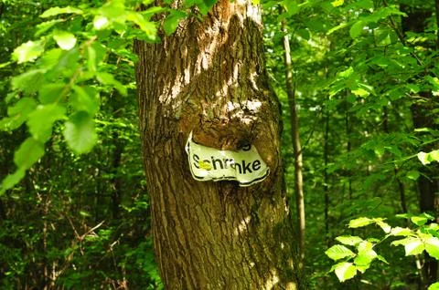 Shield ingrown in a tree with the text barrier Stock Photos