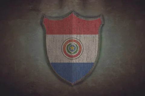 Shield with paraguay flag. イラスト素材