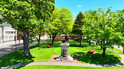 Shield the Park - Syracuse, NY Stock Footage 336228140