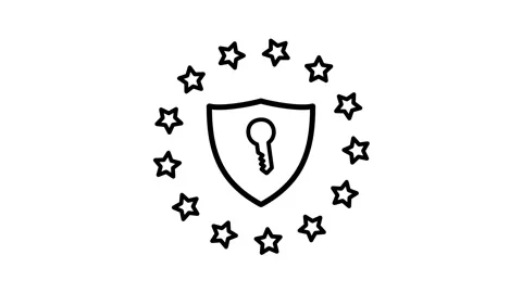 Shield Privacy Security Icon Stock Footage 340305662