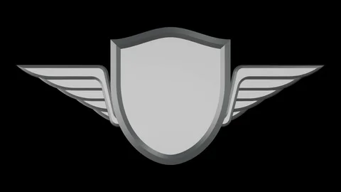 Shield with wings made of wood, chrome, old metal on black background. Stock Footage 84924314