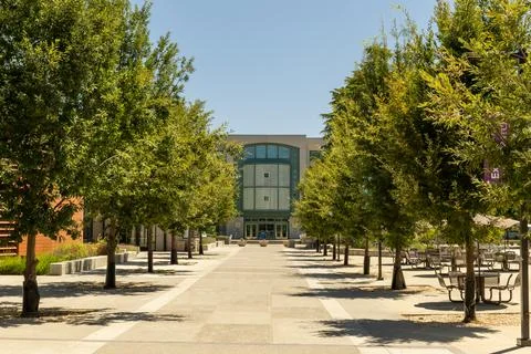 Shields Library at  UC Davis Stock Photos