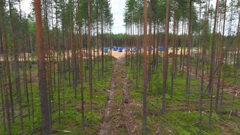 A shift camp in the forest. Deforestation. Quadcopter Video stock 314504653