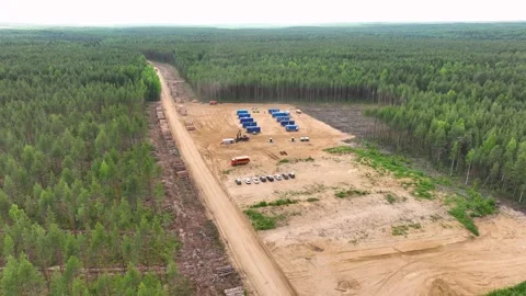 A shift camp in the forest. Deforestation. Quadcopter Video stock 314504715