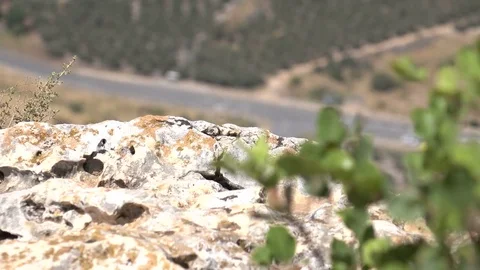 Shift of Focus From Bush on Cliff to Road Far Below Stock Footage 78247113