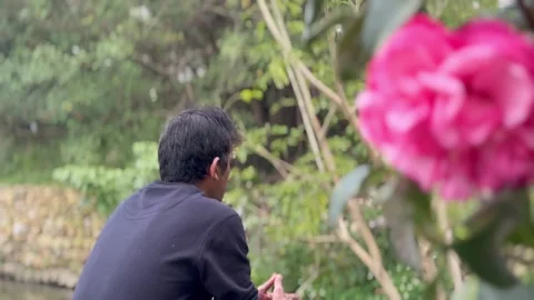Shift focus from Man taking rest to bunch of red roses in a park Stock Footage 268994901