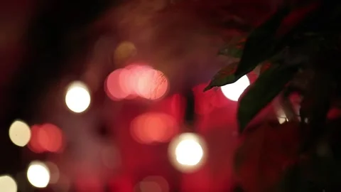 A Shift Focus Shot of an Indian Wedding Decoration at the Wedding Venue Stock Footage 170598645