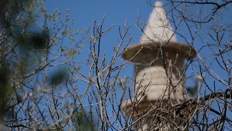 Shift focus from a tree's branc to the minaret of mosque at Mount Lebanon Video stock 108407177