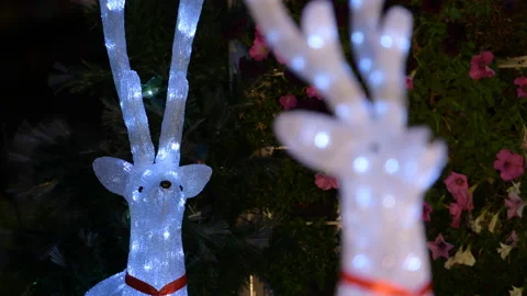 Shift focus of White Reindeer doll. Stock Footage 141958642