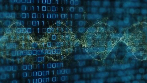 Shifting blue binary grid initiating golden network twisting into DNA helix Stock Footage 317369364