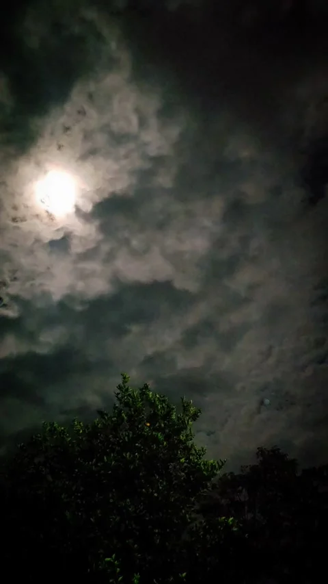 Shifting Cloud Deck Unveils Moon Above Nighttime Canopy Video stock 316795486