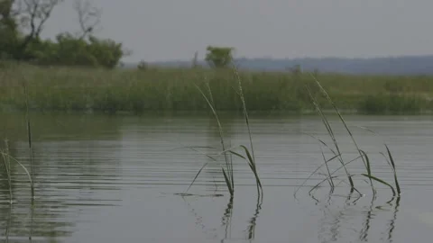 Shifting Focus On The Lake Video stock 138281651