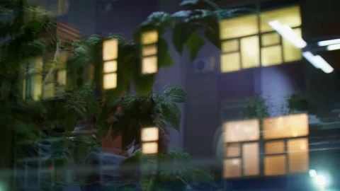 Shifting of focus from reflection of green leaves in the window to windows of Stock Footage 148325859