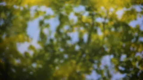 Shifting focus on water surface to oak trees reflection. Video stock 114220545