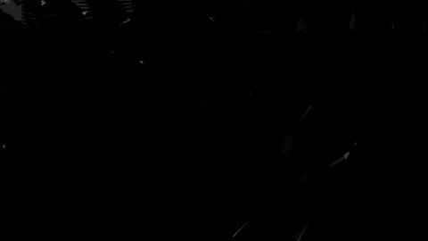 Shifting hypnotic black and white lines dynamic backdrop. Stock Footage 338250337