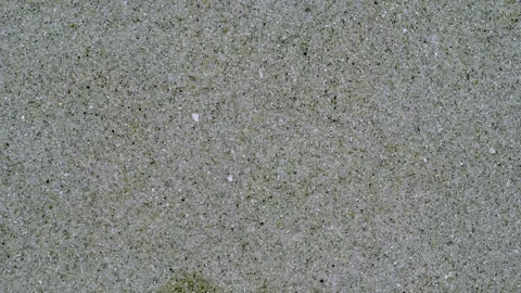 Shifting Sand Pattern Beneath Crystal Clear Shallow Water Stock Footage 336303599