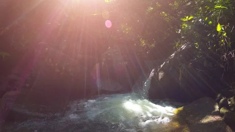 Shifting to Submerged Perspective at Tropical Stream in Phuket Stock-Footage 85668468