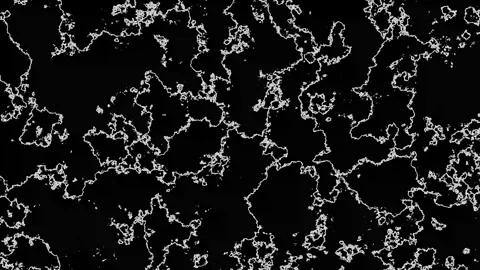 Shifting Terrain Shapes In Grayscale Loop 動画素材 319219075