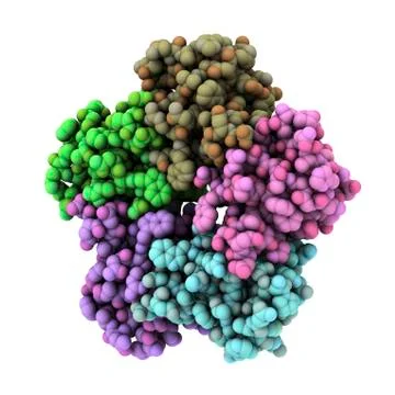 Shiga-like toxin i subunit molecule Stock Illustration